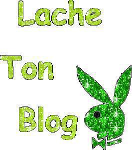 lache ton blog merci